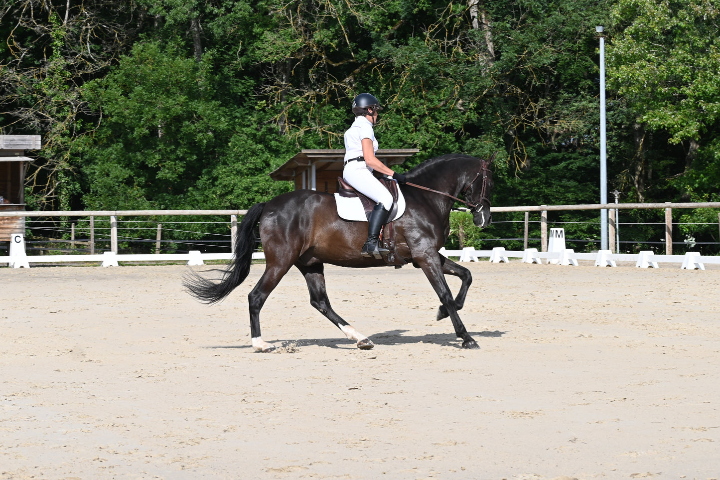 Cours d'équitation particulier
