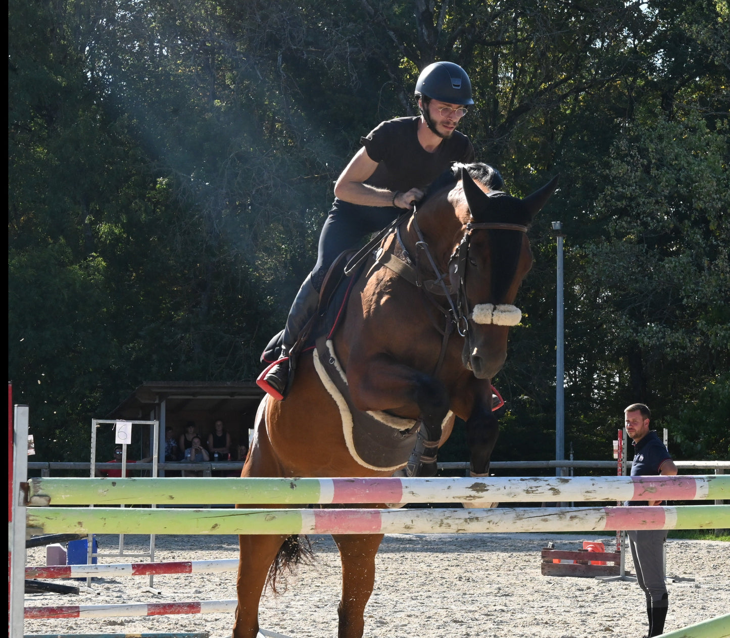 Cours d'équitation particulier