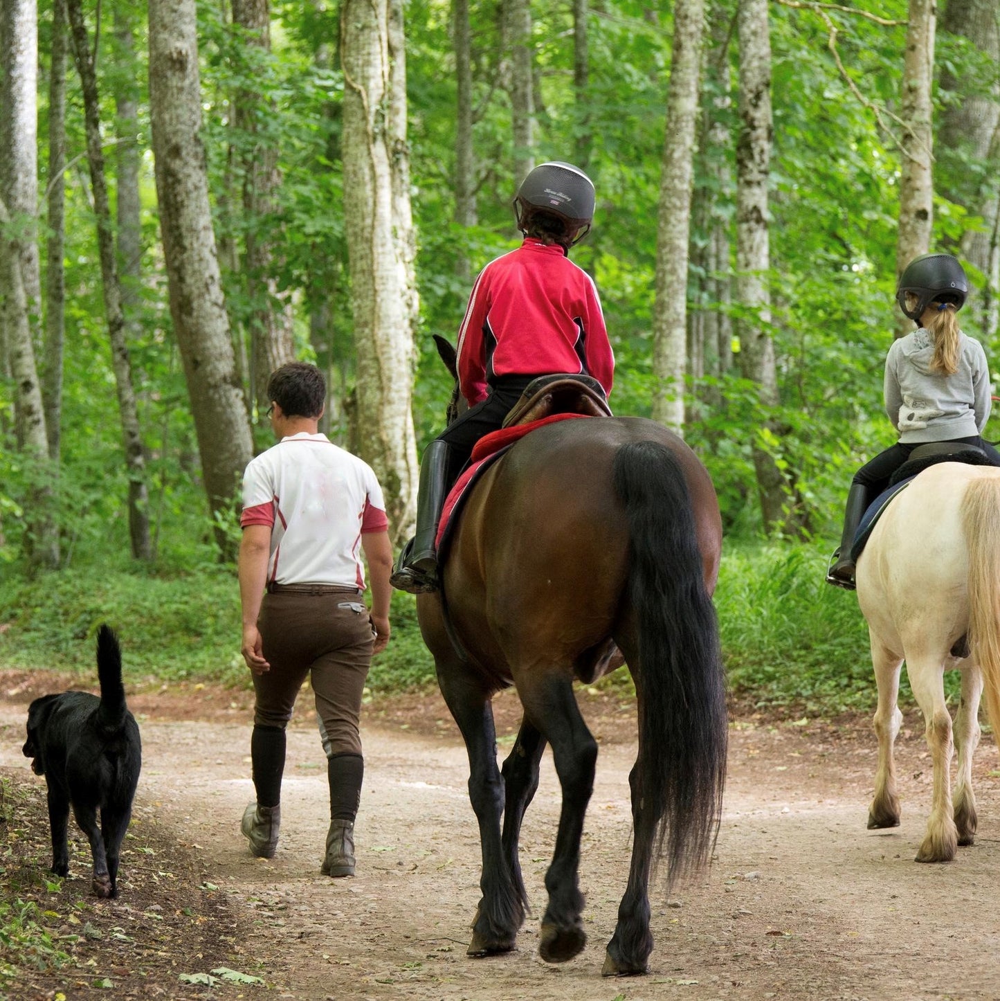 Promenade à cheval dans le parc du Château d'Ygrande