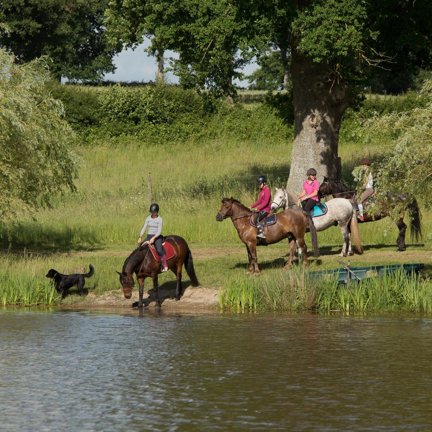Promenade à cheval dans le parc du Château d'Ygrande